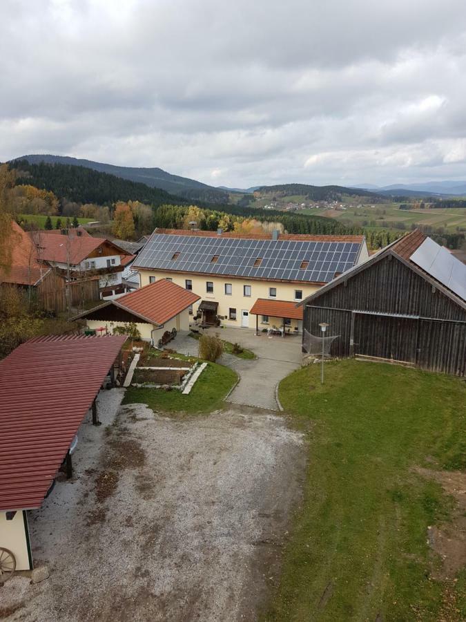 Gut Steinhuegel Apartment Bischofsmais Exterior foto